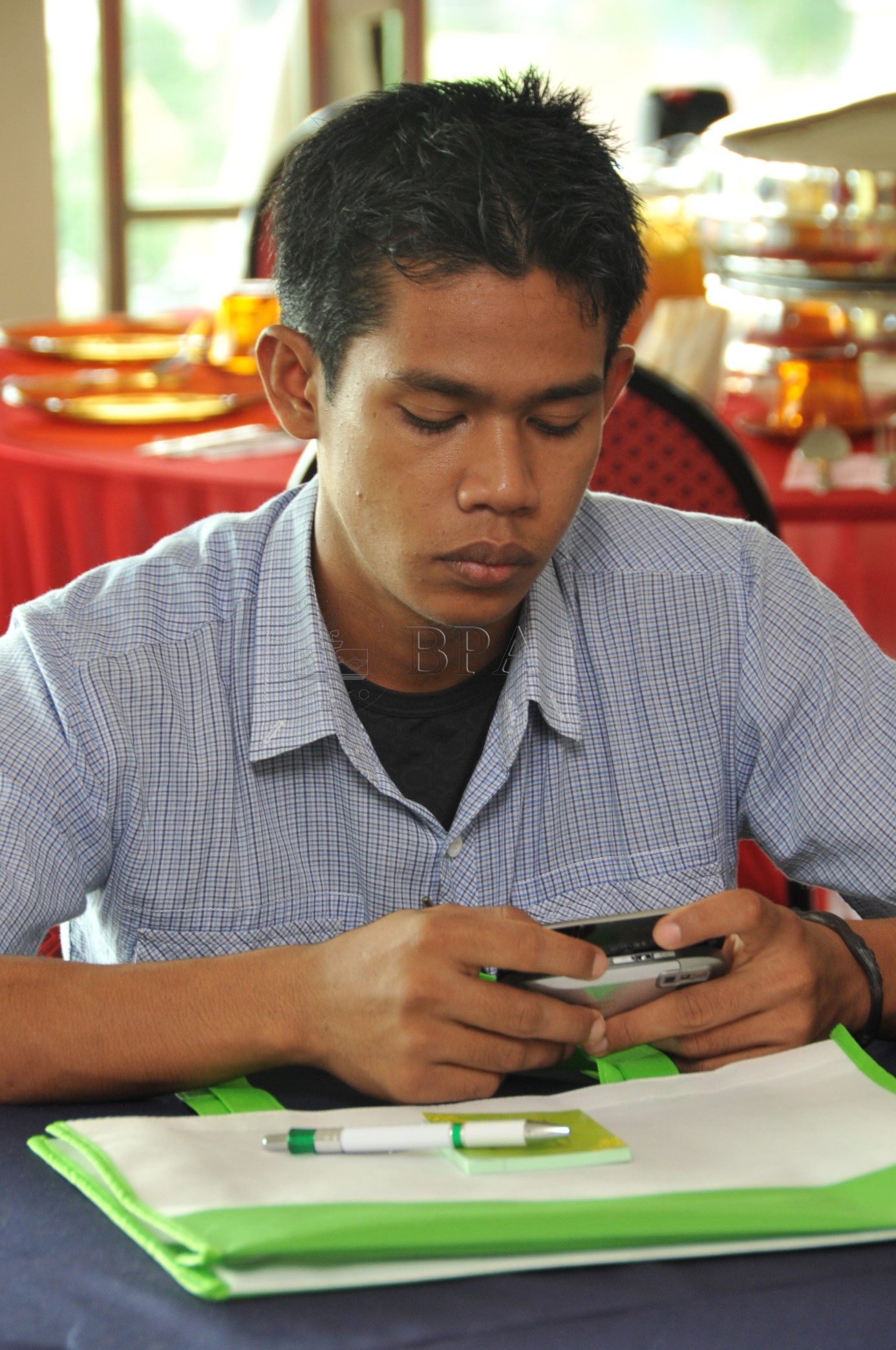 BPA 12 95 ips PRO 4077